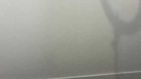 bellashore free recording from 2025-09-24 01:49:00