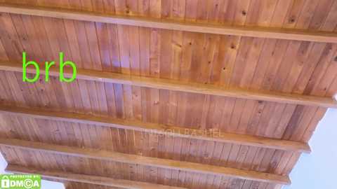 nicollbashel free recording from 2025-09-24 14:03:00