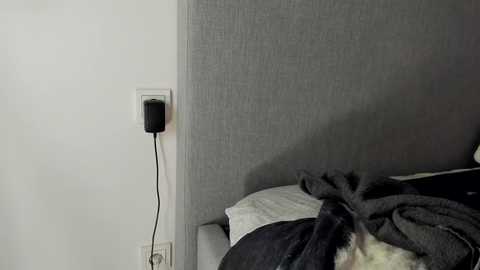 rachel_rey free recording from 2025-09-24 10:39:00