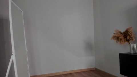 elannand free recording from 2025-09-25 12:00:00