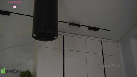 hecola free recording from 2025-09-25 15:34:00