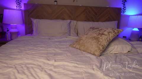 phoenix_taylor free recording from 2025-09-25 03:31:00