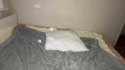 spiritcouple free recording from 