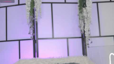 xenomy free recording from 2025-09-25 10:20:00