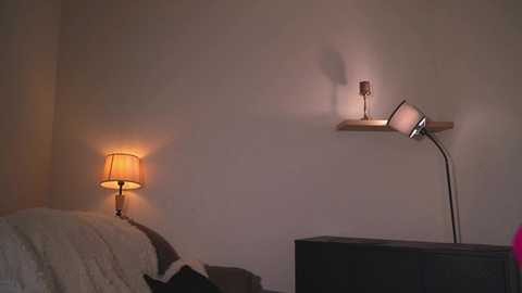 blissdilley free recording from 