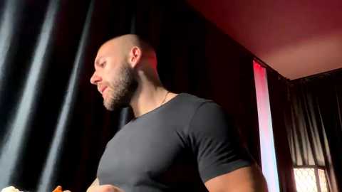 c_o_n_q_u_e_r free recording from 