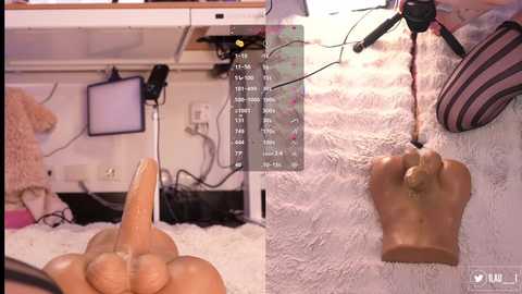 lau__1 free recording from 2025-09-27 05:16:00