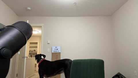 teamtragic free recording from 2025-09-27 04:36:00