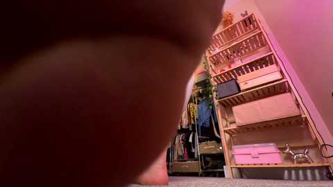 vixenp free recording from 2025-09-27 21:17:00