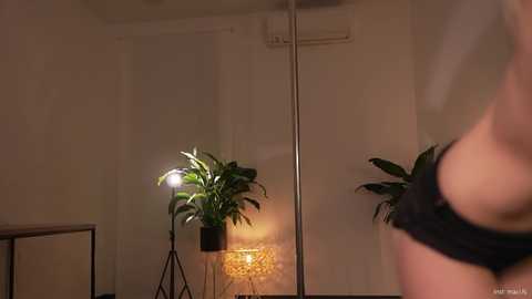 alissa_wxw free recording from 