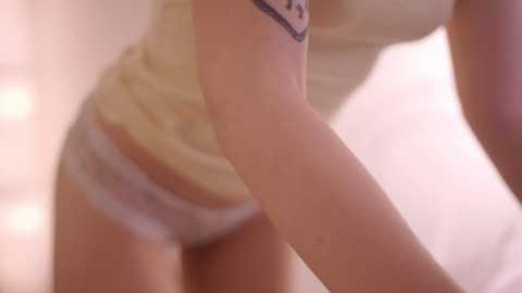 motherlode_ free recording from 