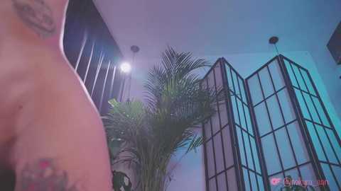 nekyra_san free recording from 