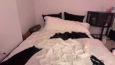 clairewalkerr free recording from 2025-09-30 07:48:00