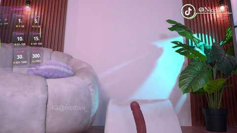 nicdani_1 free recording from 2025-09-30 03:57:00