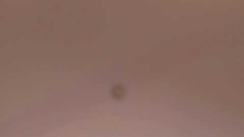 miamontoya free recording from 