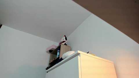 sharpay_evans free recording from 2025-10-01 18:49:00