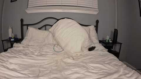 thenaturallovers free recording from 2025-10-01 03:56:00