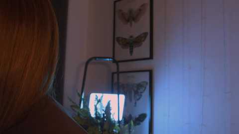 little_anitta free recording from 2025-10-02 04:18:00