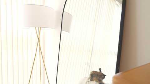 naughtysammx free recording from 