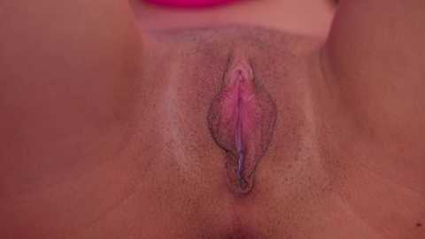 vesia free recording from 2025-10-03 12:03:00