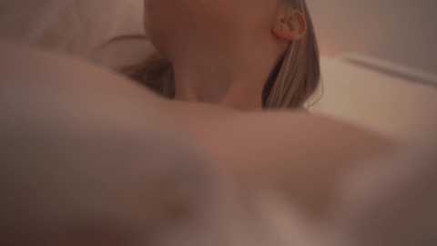 bibi_it_is free recording from 