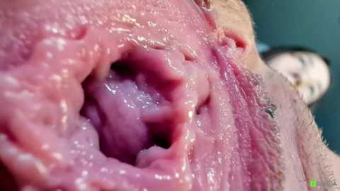 courtney_luv free recording from 2025-10-04 21:07:00