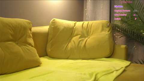 meganiex free recording from 2025-10-04 06:34:00