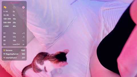 alicentity free recording from 2025-10-06 06:57:00