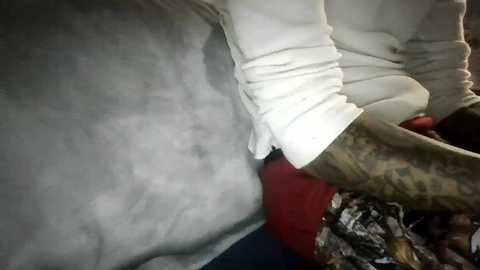 bertdollaz757 free recording from 