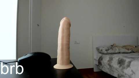 dulceys free recording from 2025-10-06 12:26:00