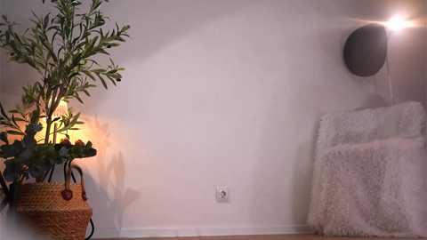 shiningstarrr free recording from 2025-10-06 21:24:00