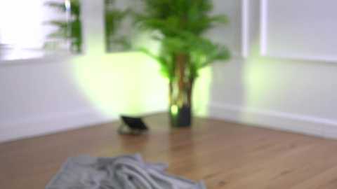 alexxiskye free recording from 2025-10-08 14:08:00