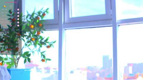 cinacandy free recording from 2025-10-08 06:47:00