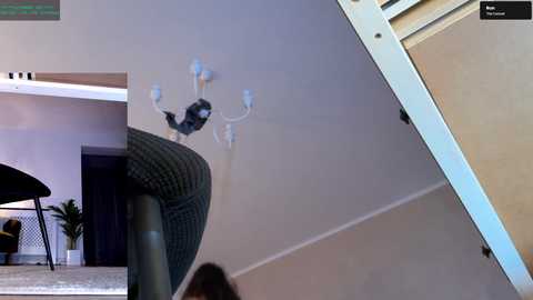 legswattitude free recording from 2025-10-08 16:49:00