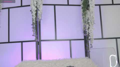 xenomy free recording from 2025-10-08 09:39:00