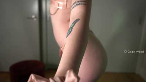 chloewildd free recording from 