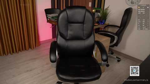 secretary_bj free recording from 2025-10-09 00:37:00