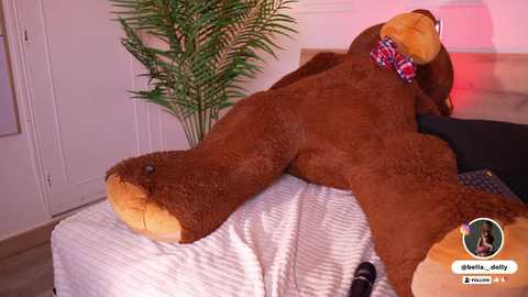 bella__donne free recording from 2025-10-10 16:22:00