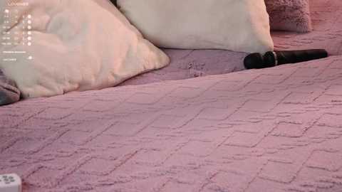 pretty_princess_elina free recording from 2025-10-10 11:14:00