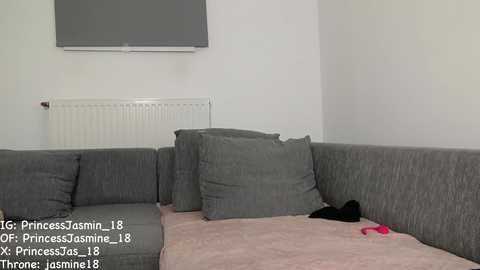 princessjasmine_18 free recording from 2025-10-10 14:13:00