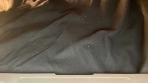 bonnettbonett free recording from 2025-10-11 06:17:00