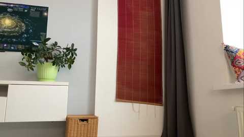 anntics_ free recording from 2025-10-12 12:02:00