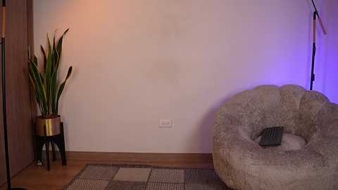 anyiled free recording from 