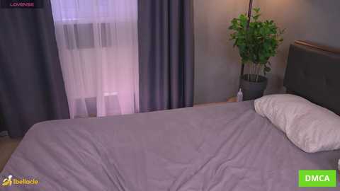 bellacle free recording from 2025-10-13 11:33:00