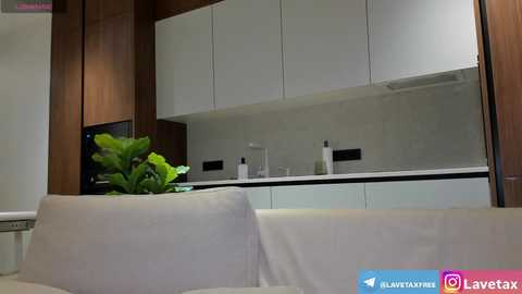 lavetax free recording from 2025-10-13 10:31:00