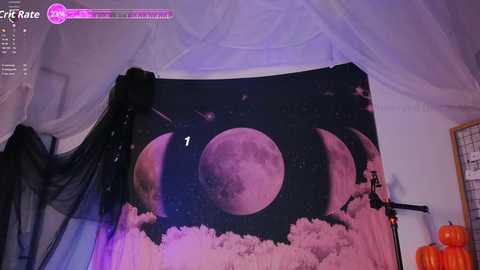 mollyflwers free recording from 2025-10-13 17:43:00