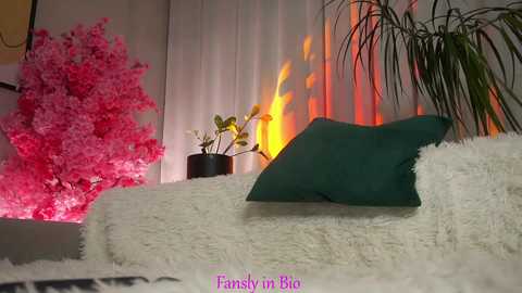 signehinz free recording from 