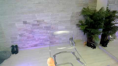 angelinsin free recording from 2025-10-14 01:53:00