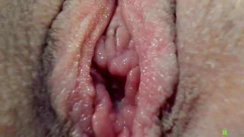 courtney_luv free recording from 