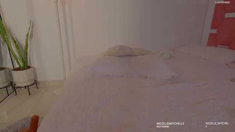 nicolle_mitchelle free recording from 2025-10-14 15:17:00